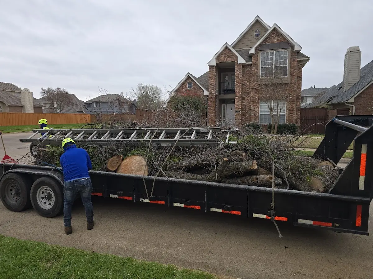 Expert Lot Clearing with proper safety equipment in Onalaska